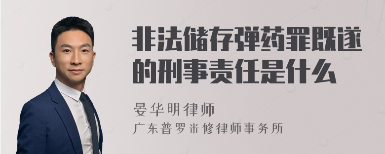 非法储存弹药罪既遂的刑事责任是什么