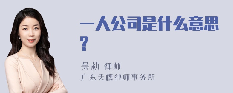 一人公司是什么意思?