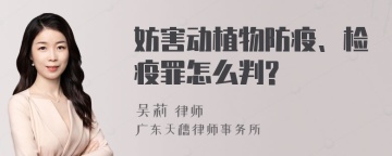 妨害动植物防疫、检疫罪怎么判?