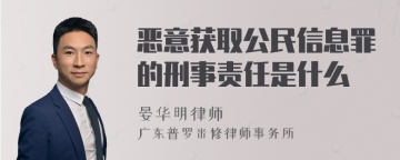 恶意获取公民信息罪的刑事责任是什么