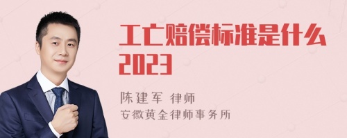 工亡赔偿标准是什么2023