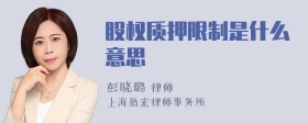 股权质押限制是什么意思