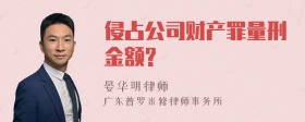 侵占公司财产罪量刑金额?