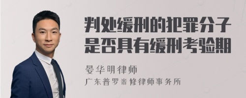 判处缓刑的犯罪分子是否具有缓刑考验期