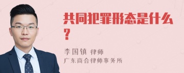 共同犯罪形态是什么？