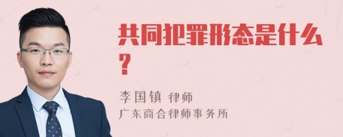 共同犯罪形态是什么？