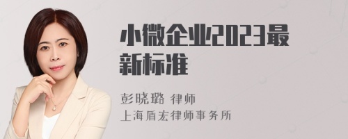 小微企业2023最新标准