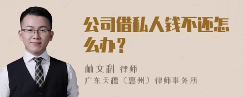 公司借私人钱不还怎么办？