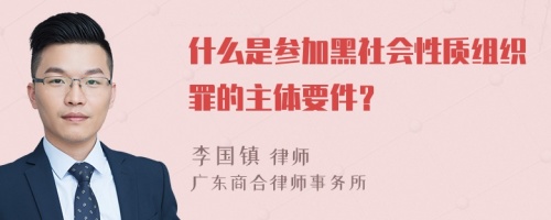 什么是参加黑社会性质组织罪的主体要件？