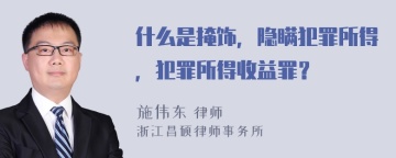 什么是掩饰，隐瞒犯罪所得，犯罪所得收益罪？