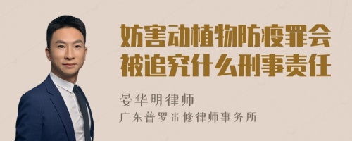 妨害动植物防疫罪会被追究什么刑事责任