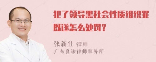 犯了领导黑社会性质组织罪既遂怎么处罚？