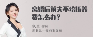 离婚后前夫不给抚养费怎么办?