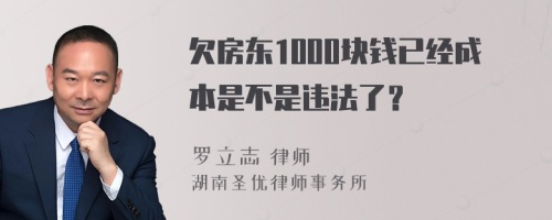 欠房东1000块钱已经成本是不是违法了？