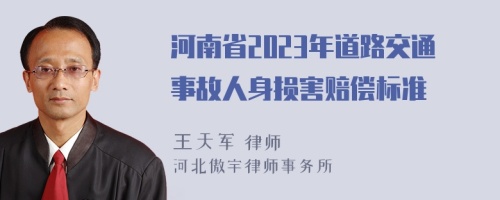 河南省2023年道路交通事故人身损害赔偿标准