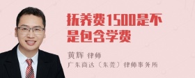 抚养费1500是不是包含学费