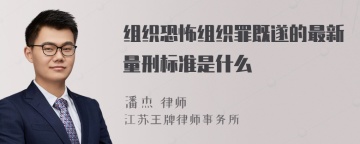 组织恐怖组织罪既遂的最新量刑标准是什么