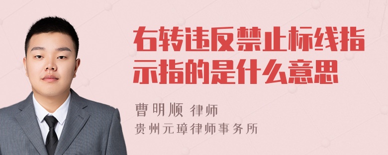 右转违反禁止标线指示指的是什么意思