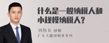 什么是一般纳税人和小规模纳税人?