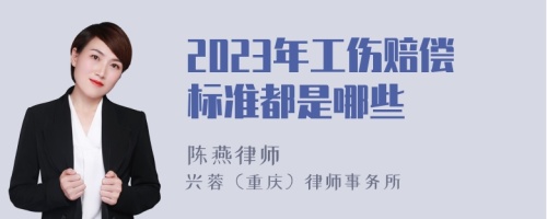 2023年工伤赔偿标准都是哪些