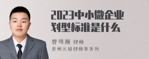 2023中小微企业划型标准是什么