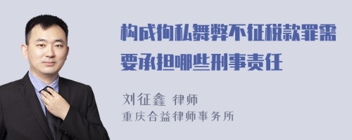 构成徇私舞弊不征税款罪需要承担哪些刑事责任