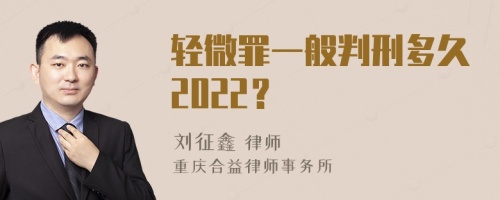 轻微罪一般判刑多久2022？