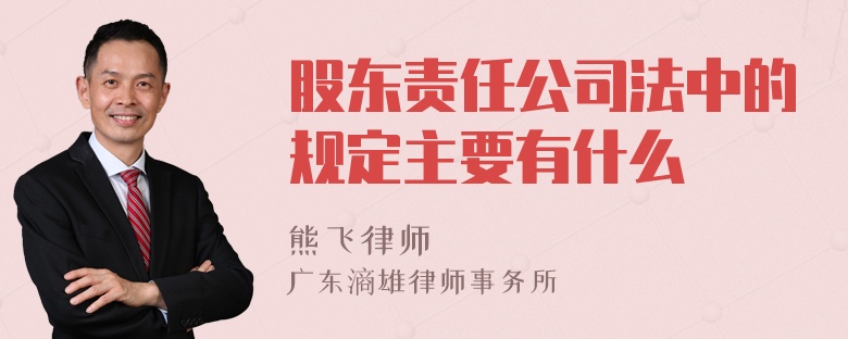 股东责任公司法中的规定主要有什么