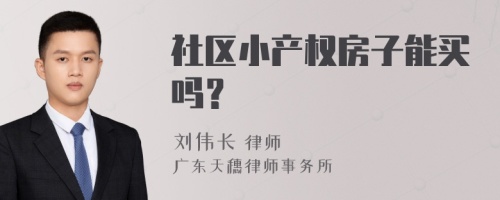 社区小产权房子能买吗？