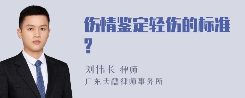 伤情鉴定轻伤的标准?