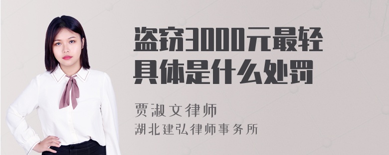 盗窃3000元最轻具体是什么处罚