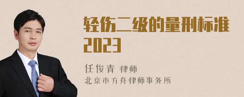 轻伤二级的量刑标准2023