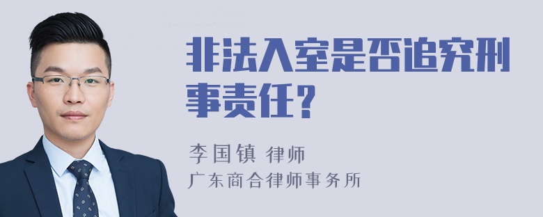 非法入室是否追究刑事责任？