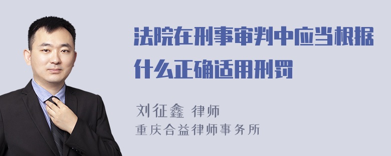 法院在刑事审判中应当根据什么正确适用刑罚