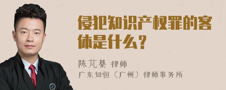 侵犯知识产权罪的客体是什么？