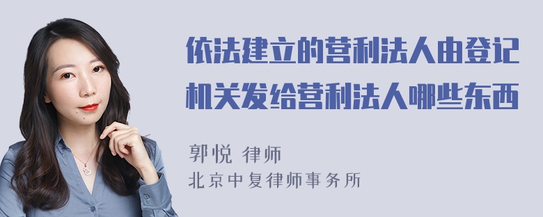 依法建立的营利法人由登记机关发给营利法人哪些东西