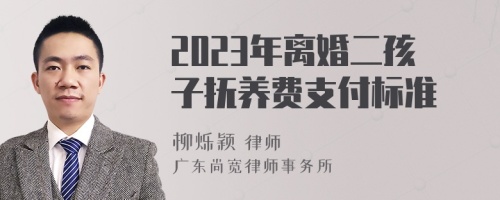 2023年离婚二孩子抚养费支付标准