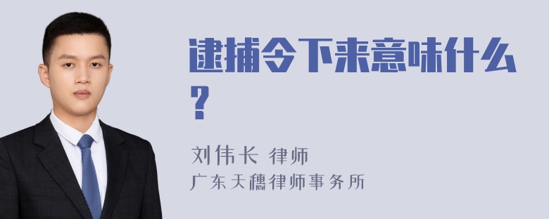 逮捕令下来意味什么？