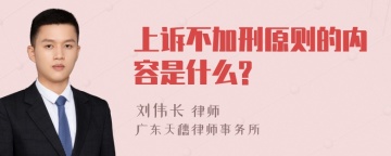 上诉不加刑原则的内容是什么?