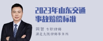 2023年山东交通事故赔偿标准