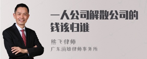 一人公司解散公司的钱该归谁