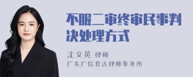 不服二审终审民事判决处理方式