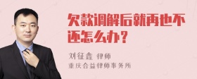 欠款调解后就再也不还怎么办？