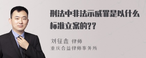 刑法中非法示威罪是以什么标准立案的?？