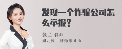 发现一个诈骗公司怎么举报？