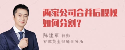 两家公司合并后股权如何分割？