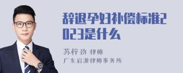 辞退孕妇补偿标准2023是什么