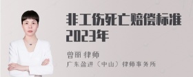 非工伤死亡赔偿标准2023年