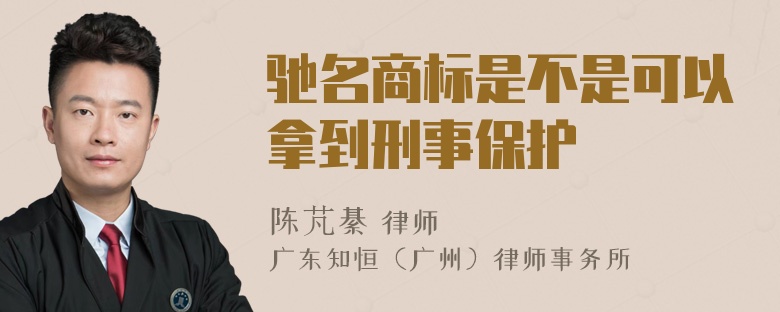 驰名商标是不是可以拿到刑事保护