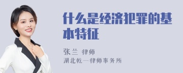 什么是经济犯罪的基本特征